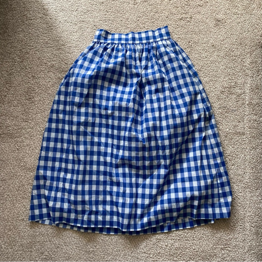 Anthropologie Blue and White Checkered A-Line Skirt
